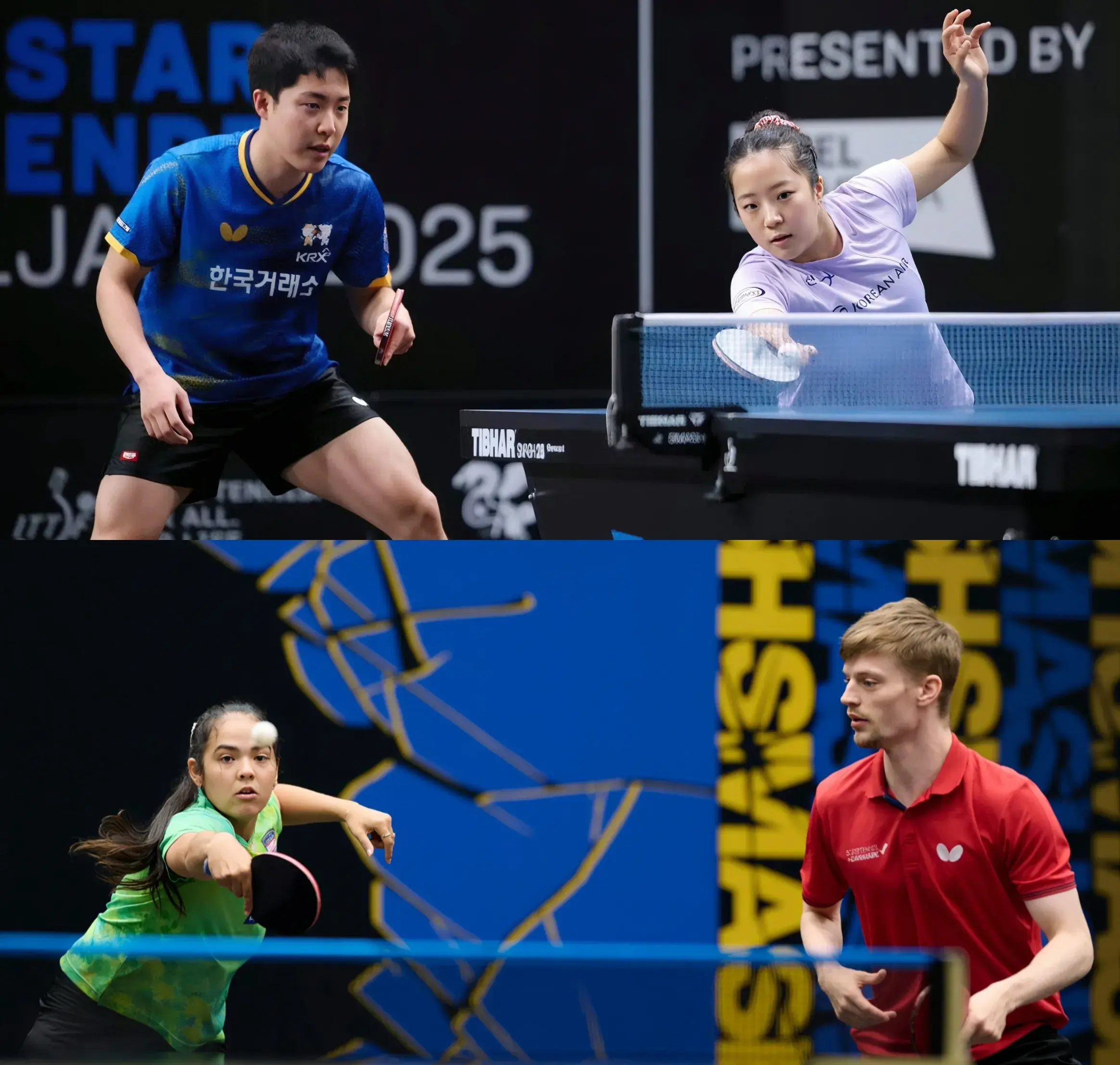 msn, 迪亚兹, 高桥