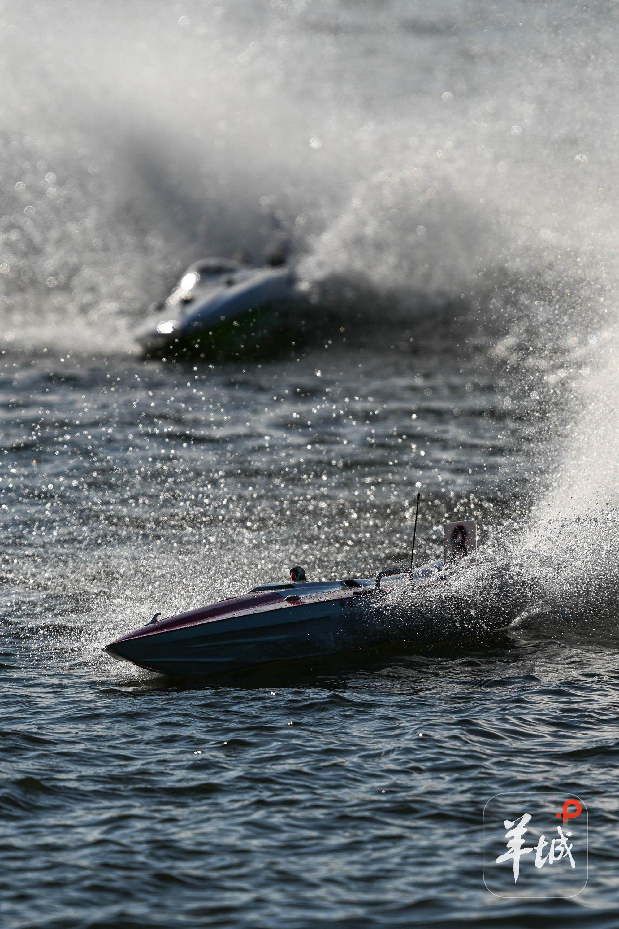 entit, https, entit entit, https, entit